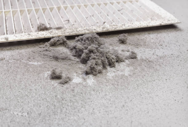 Best Professional Duct Cleaning Services  in Fairview, NC
