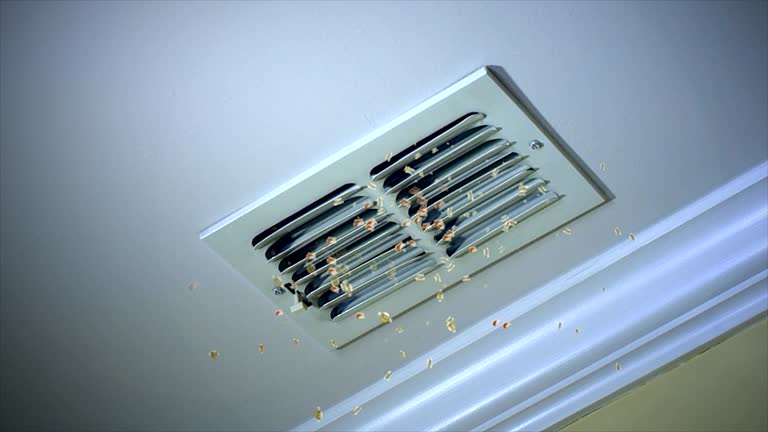 Best HVAC Duct Inspection Services  in Fairview, NC